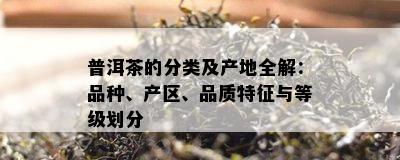 普洱茶的分类及产地全解：品种、产区、品质特征与等级划分