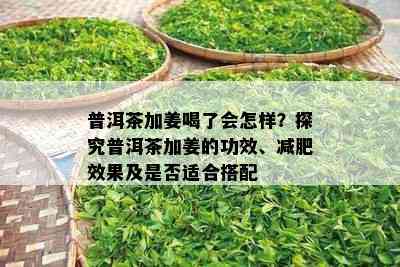 普洱茶加姜喝了会怎样？探究普洱茶加姜的功效、减肥效果及是否适合搭配