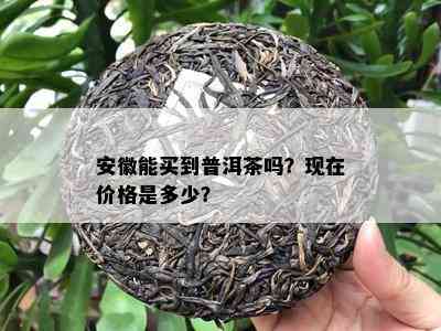 安徽能买到普洱茶吗？现在价格是多少？