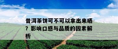 普洱茶饼可不可以拿出来晒？影响口感与品质的因素解析