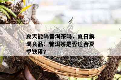 夏天能喝普洱茶吗，夏日解渴良品：普洱茶是否适合夏季饮用？