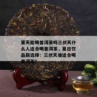 夏天能喝普洱茶吗三伏天什么人适合喝普洱茶，夏日饮品新选择：三伏天谁适合喝普洱茶？