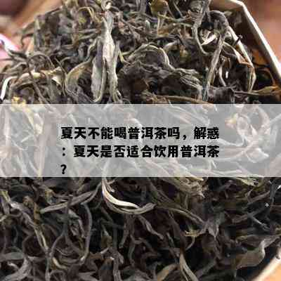 夏天不能喝普洱茶吗，解惑：夏天是否适合饮用普洱茶？