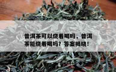 普洱茶可以烧着喝吗，普洱茶能烧着喝吗？答案揭晓！