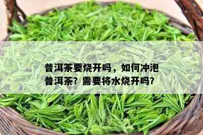 普洱茶要烧开吗，如何冲泡普洱茶？需要将水烧开吗？