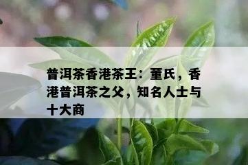 普洱茶茶王：董氏，普洱茶之父，知名人士与十大商