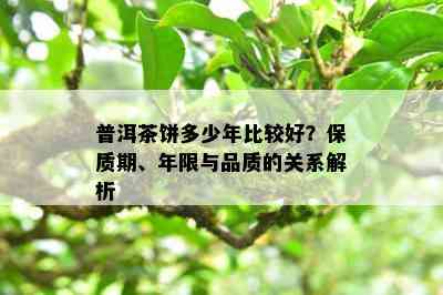 普洱茶饼多少年比较好？保质期、年限与品质的关系解析