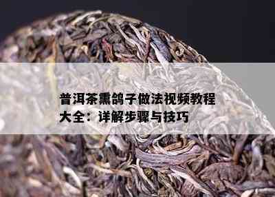 普洱茶熏鸽子做法视频教程大全：详解步骤与技巧