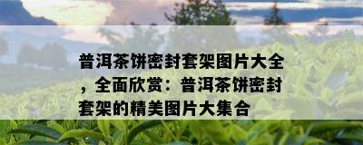 普洱茶饼密封套架图片大全，全面欣赏：普洱茶饼密封套架的精美图片大集合