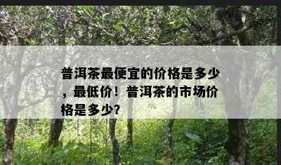 普洱茶更便宜的价格是多少，更低价！普洱茶的市场价格是多少？