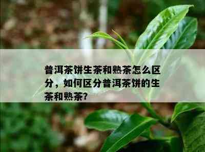 普洱茶饼生茶和熟茶怎么区分，如何区分普洱茶饼的生茶和熟茶？