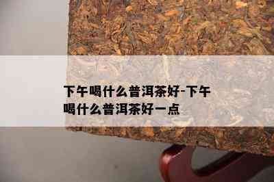 下午喝什么普洱茶好-下午喝什么普洱茶好一点