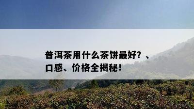 普洱茶用什么茶饼更好？、口感、价格全揭秘！