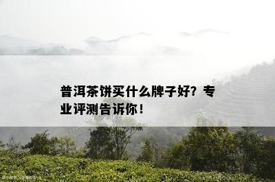 普洱茶饼买什么牌子好？专业评测告诉你！