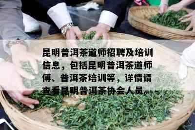 昆明普洱茶道师招聘及培训信息，包括昆明普洱茶道师傅、普洱茶培训等，详情请查看昆明普洱茶协会人员。