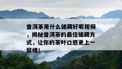 普洱茶用什么储藏好呢视频，揭秘普洱茶的更佳储藏方式，让你的茶叶口感更上一层楼！