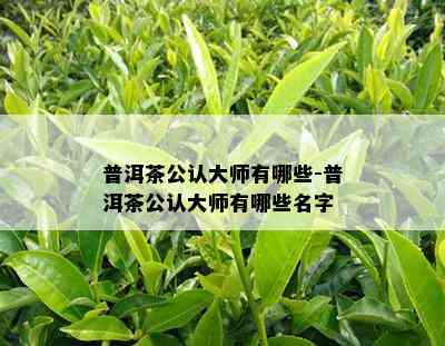 普洱茶公认大师有哪些-普洱茶公认大师有哪些名字