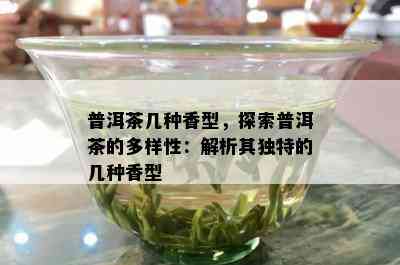 普洱茶几种香型，探索普洱茶的多样性：解析其独特的几种香型