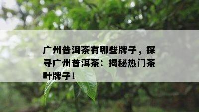 广州普洱茶有哪些牌子，探寻广州普洱茶：揭秘热门茶叶牌子！