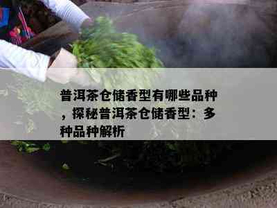 普洱茶仓储香型有哪些品种，探秘普洱茶仓储香型：多种品种解析