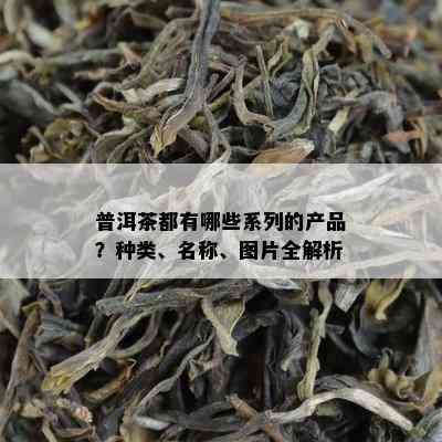 普洱茶都有哪些系列的产品？种类、名称、图片全解析