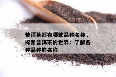 普洱茶都有哪些品种名称，探索普洱茶的世界：了解各种品种的名称