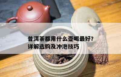 普洱茶都用什么壶喝更好？详解选购及冲泡技巧