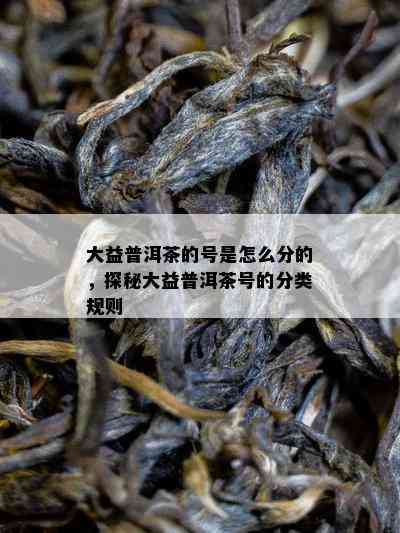 大益普洱茶的号是怎么分的，探秘大益普洱茶号的分类规则