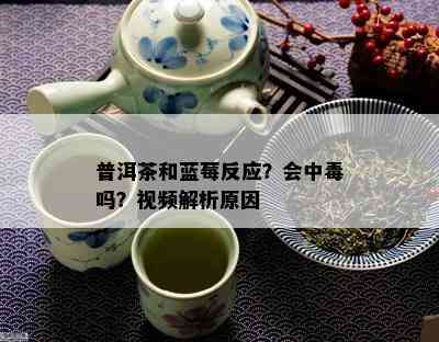 普洱茶和蓝莓反应？会中吗？视频解析原因