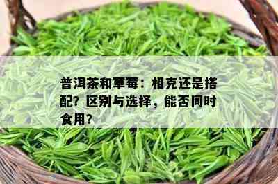 普洱茶和草莓：相克还是搭配？区别与选择，能否同时食用？