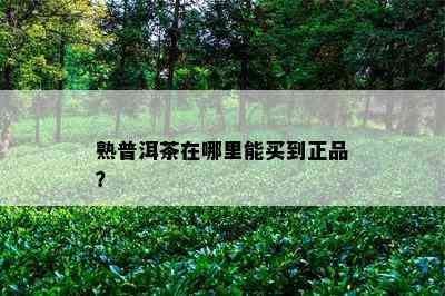 熟普洱茶在哪里能买到正品？