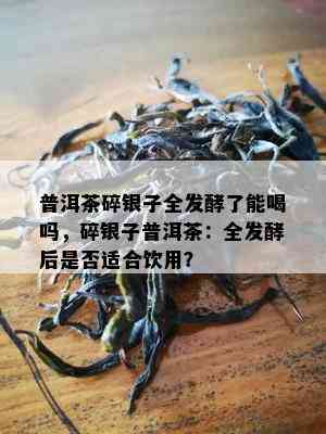 普洱茶碎银子全发酵了能喝吗，碎银子普洱茶：全发酵后是否适合饮用？