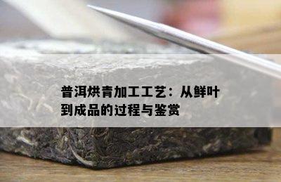 普洱烘青加工工艺：从鲜叶到成品的过程与鉴赏