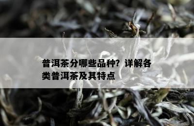 普洱茶分哪些品种？详解各类普洱茶及其特点