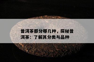 普洱茶都分哪几种，探秘普洱茶：了解其分类与品种