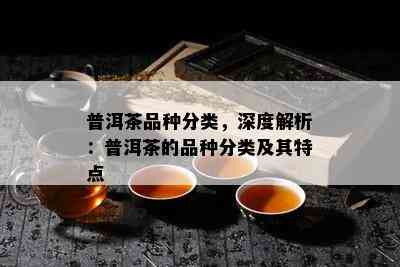 普洱茶品种分类，深度解析：普洱茶的品种分类及其特点