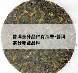 普洱茶分品种有那些-普洱茶分哪些品种