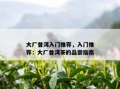 大厂普洱入门推荐，入门推荐：大厂普洱茶的品尝指南