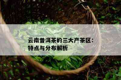 云南普洱茶的三大产茶区：特点与分布解析