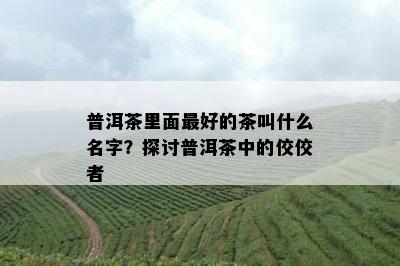 普洱茶里面更好的茶叫什么名字？探讨普洱茶中的佼佼者