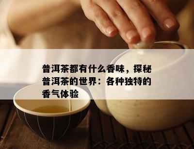 普洱茶都有什么香味，探秘普洱茶的世界：各种独特的香气体验