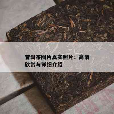 普洱茶图片真实照片：高清欣赏与详细介绍