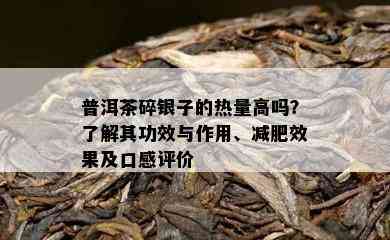 普洱茶碎银子的热量高吗？了解其功效与作用、减肥效果及口感评价