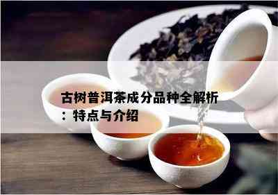 古树普洱茶成分品种全解析：特点与介绍