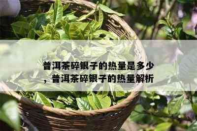 普洱茶碎银子的热量是多少，普洱茶碎银子的热量解析