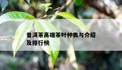 普洱茶高端茶叶种类与介绍及排行榜