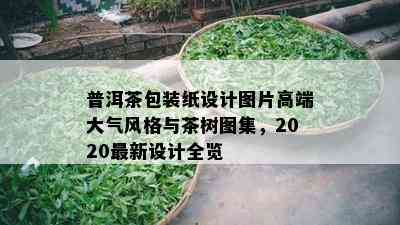 普洱茶包装纸设计图片高端大气风格与茶树图集，2020最新设计全览