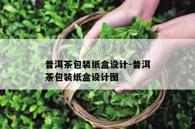 普洱茶包装纸盒设计-普洱茶包装纸盒设计图