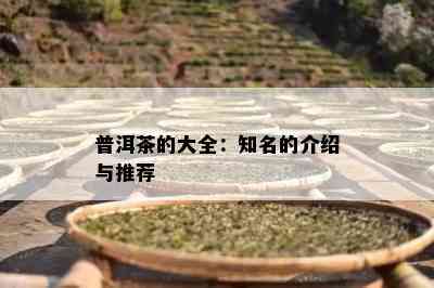 普洱茶的大全：知名的介绍与推荐