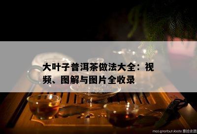 大叶子普洱茶做法大全：视频、图解与图片全收录